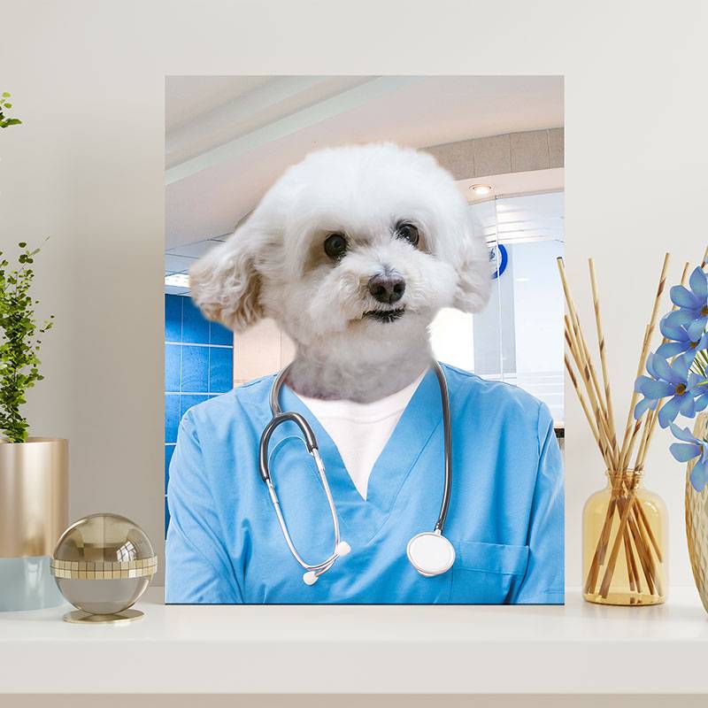 Pet Portraits Dressed Up As A Professional Surgeon