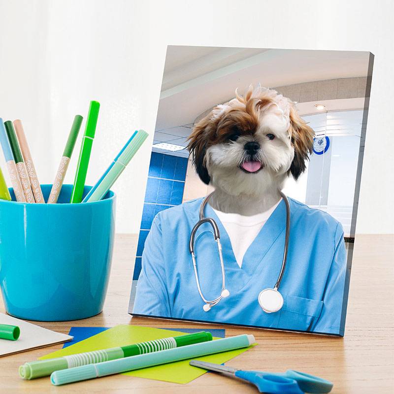 Pet Portraits Dressed Up As A Professional Surgeon