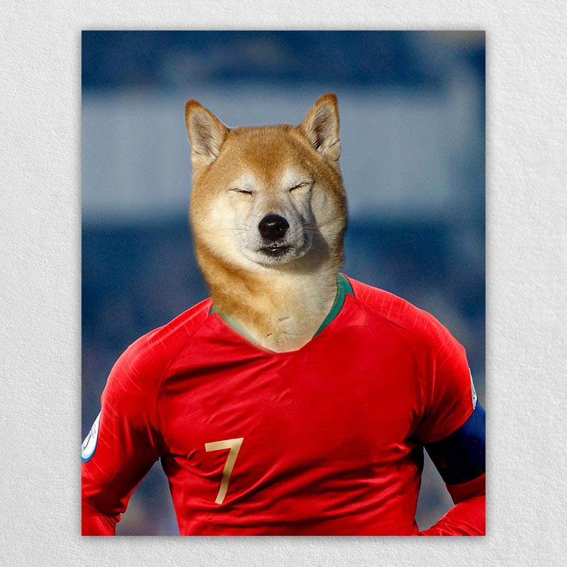 Famous Pet Soccer Player During The Match Portraits