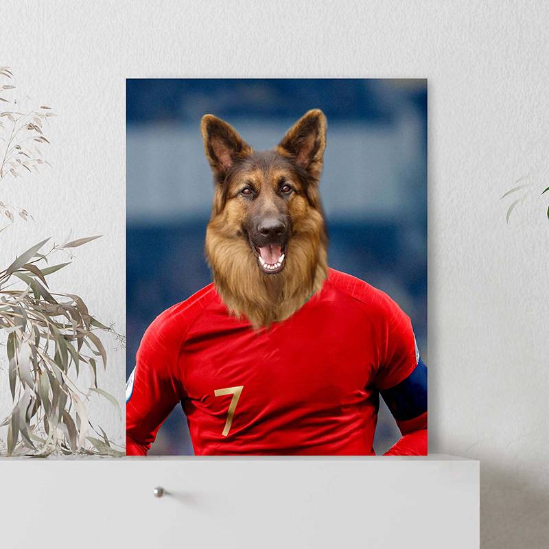 Famous Pet Soccer Player During The Match Portraits