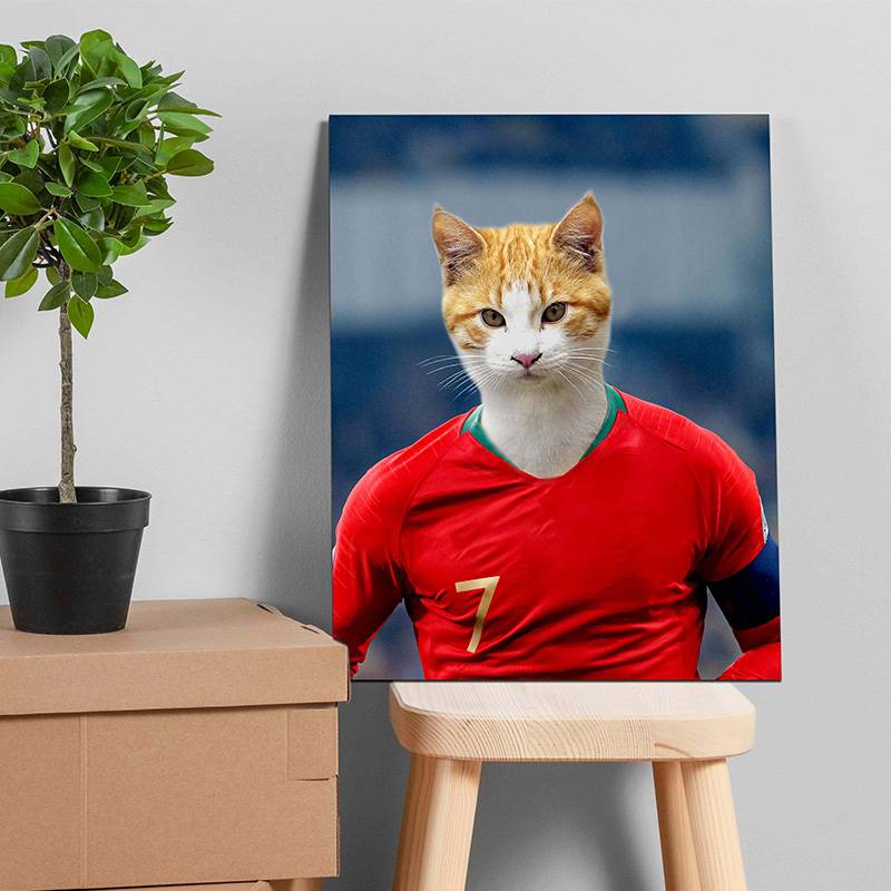 Famous Pet Soccer Player During The Match Portraits