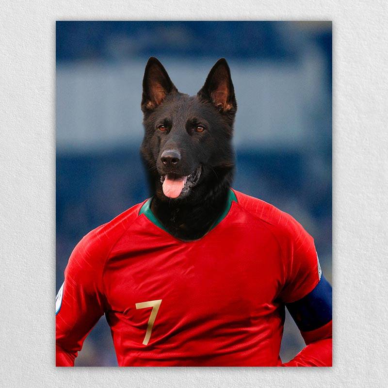 Famous Pet Soccer Player During The Match Portraits