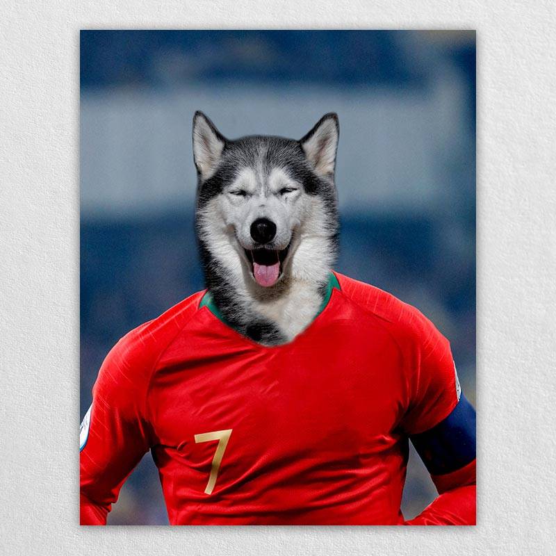 Famous Pet Soccer Player During The Match Portraits