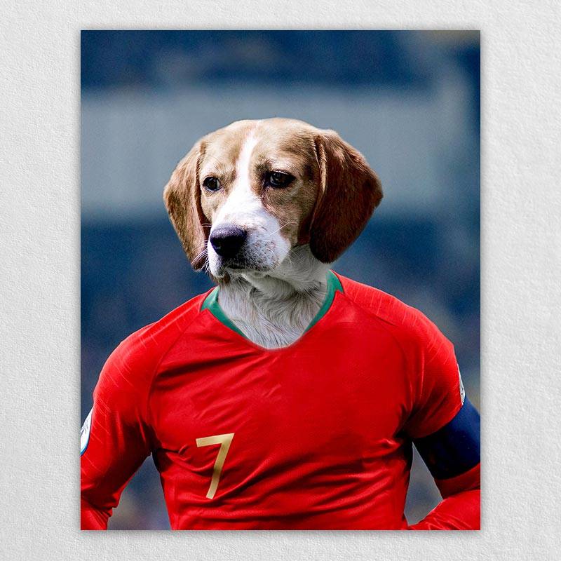 Famous Pet Soccer Player During The Match Portraits