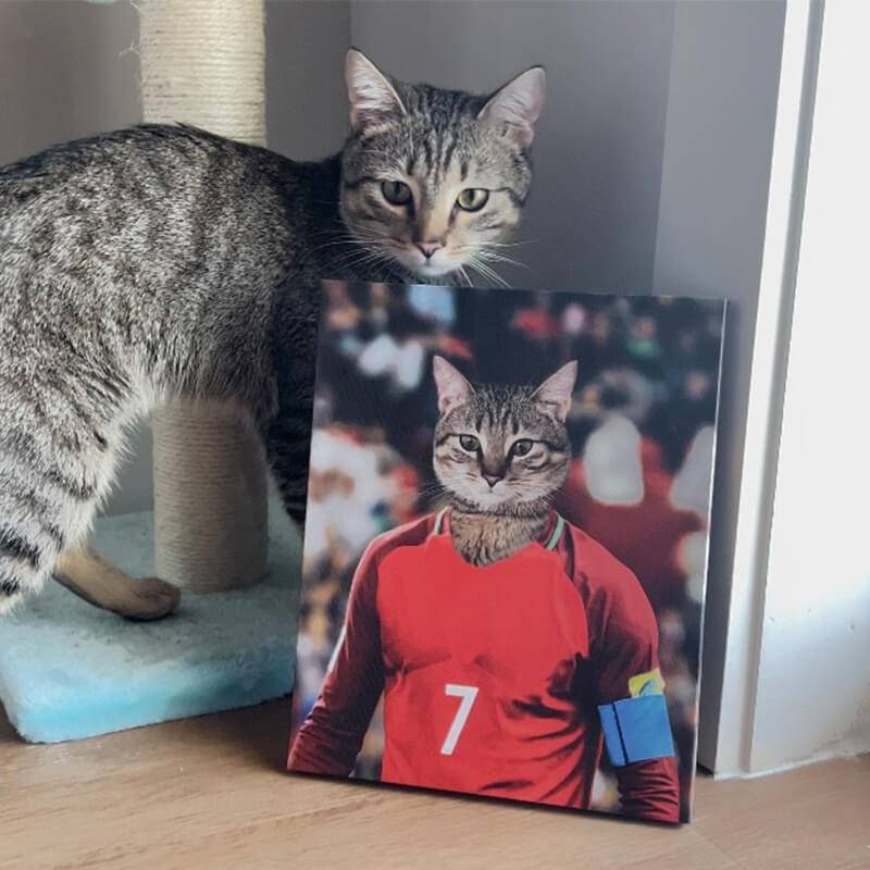 The Famous Soccer Star Canvas Prints Of Your Pets