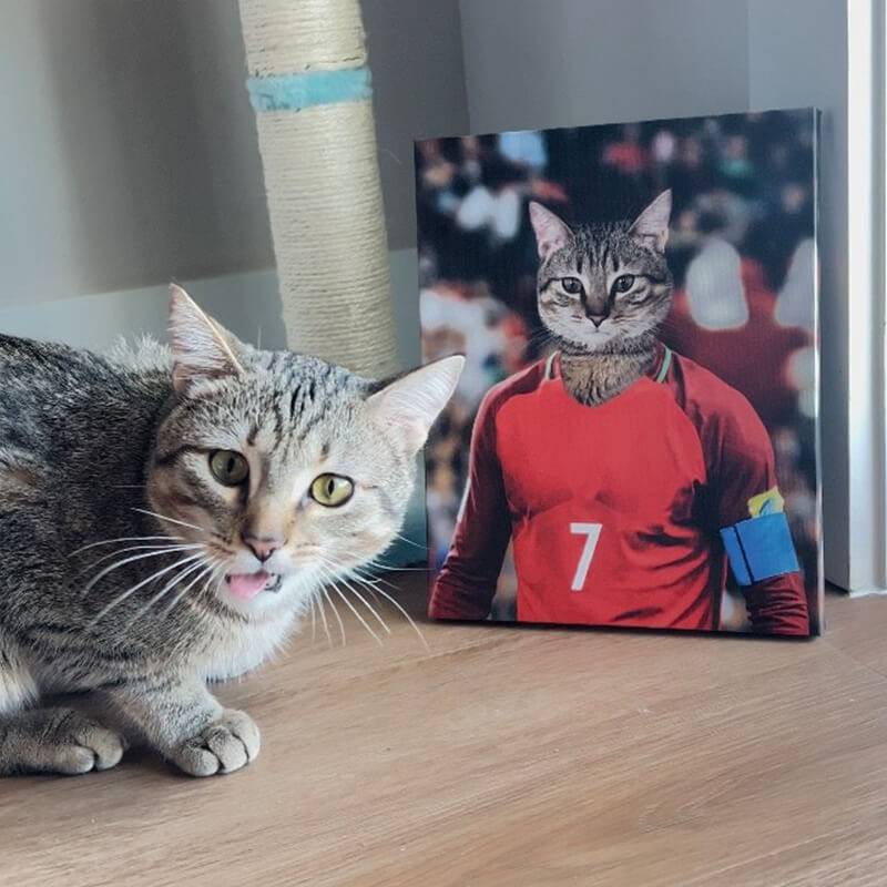 The Famous Soccer Star Canvas Prints Of Your Pets