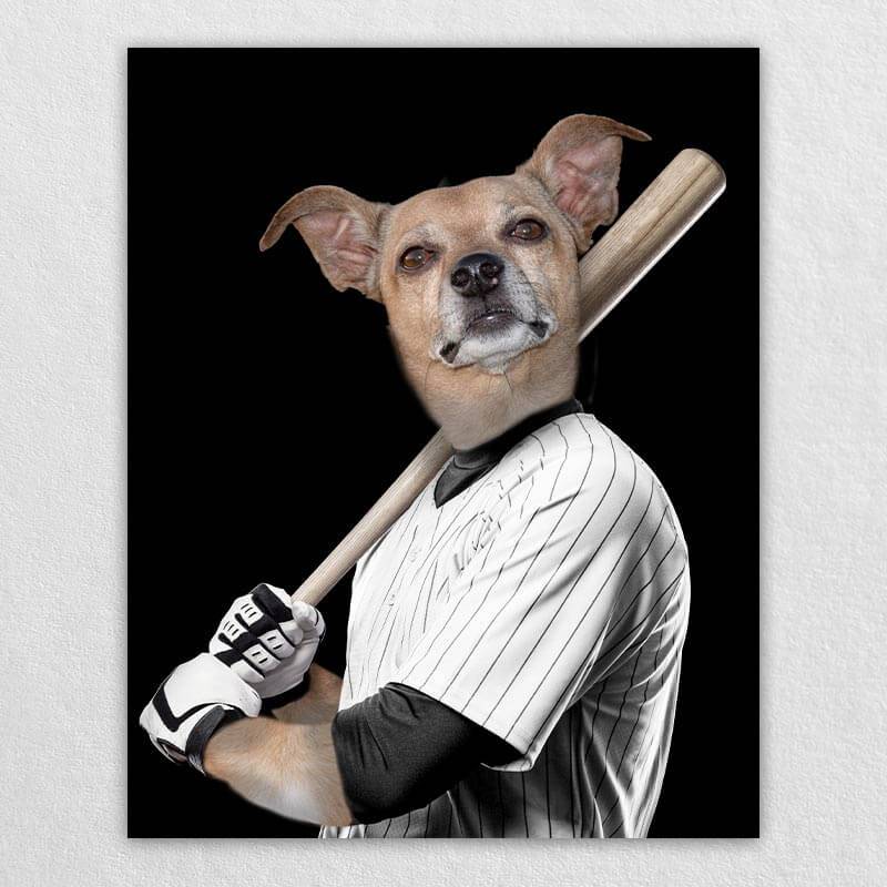 Baseball Player Custom Dog Portraits Pet Portrait