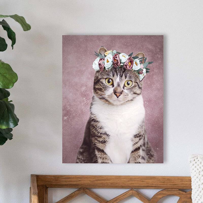 Colorful Pet Portraits Personalised Canvas Art