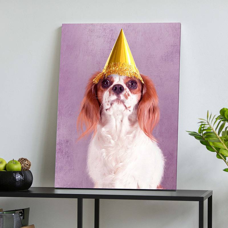 Customised Gifts For Birthday Best Custom Pet Portraits