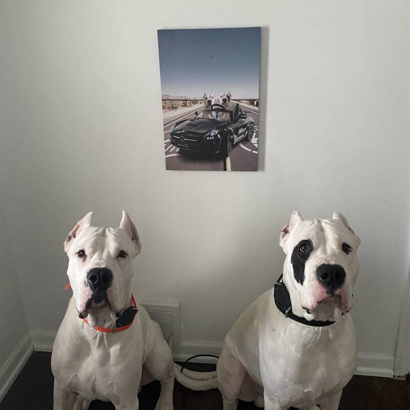 Sports Car Custom Pet Portraits Canvas