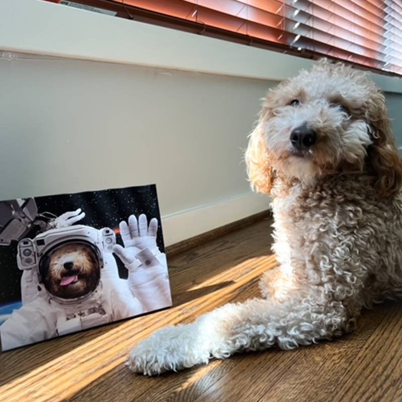 Astronaut Dog Portrait Pet Artwork