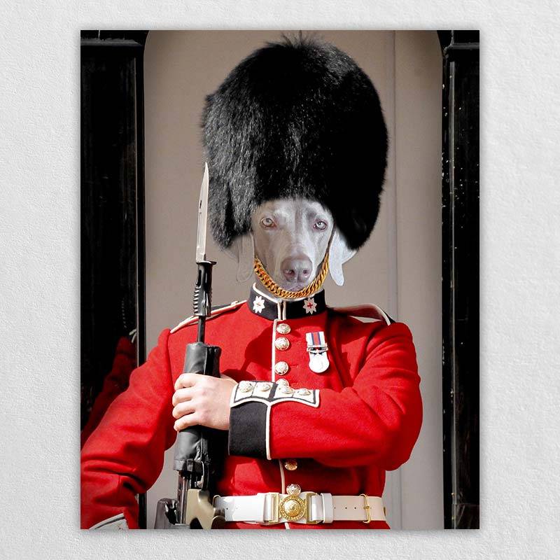 Royal Guards Pet Costume Portraits