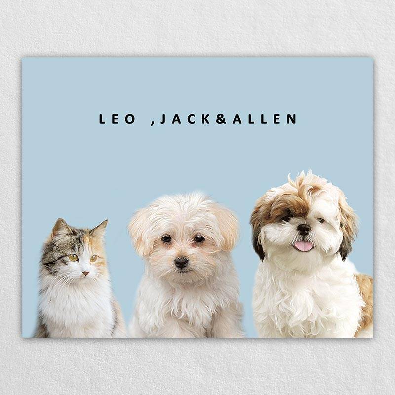 Minimalist Pet Portrait With Name