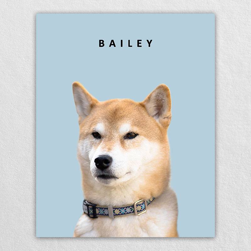 Purely Pet Portraits Pet Canvas