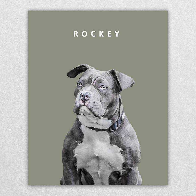 Purely Pet Portraits Pet Canvas