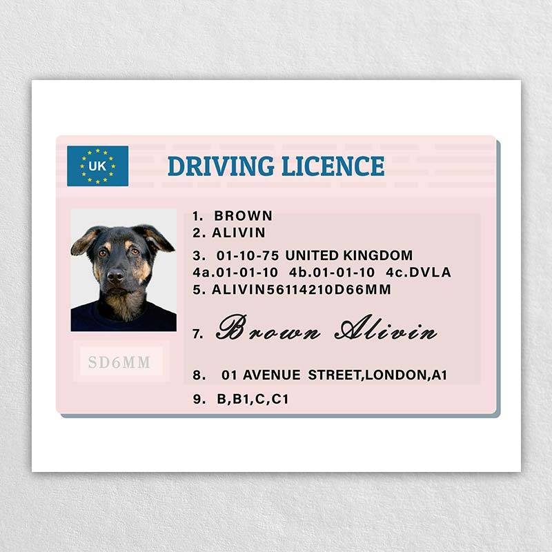 Funny Pet Tags Pet Driven Lisence