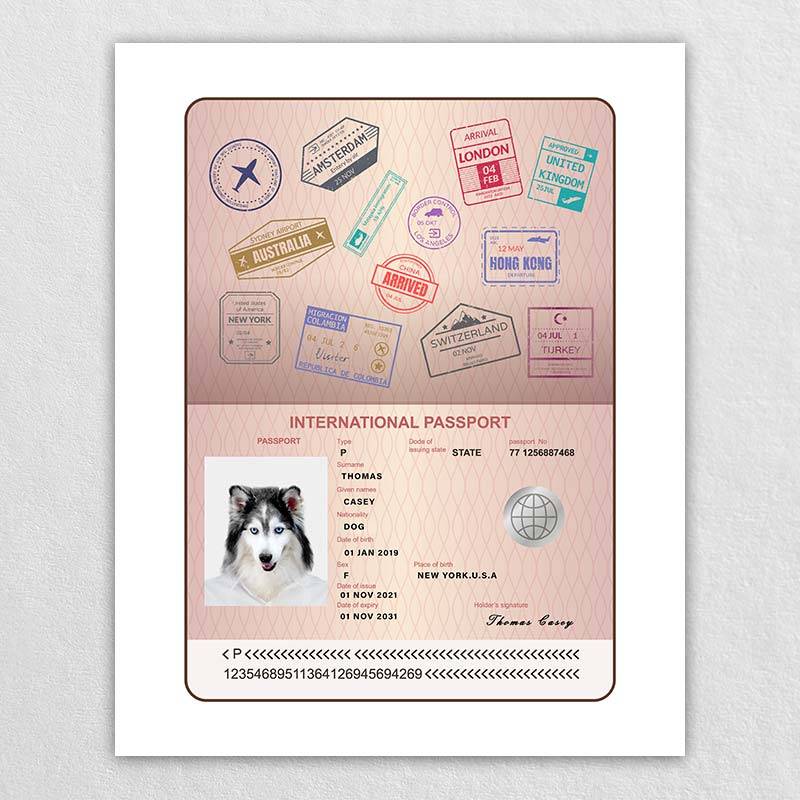 Pet Passport  Funny Pet Id Tags