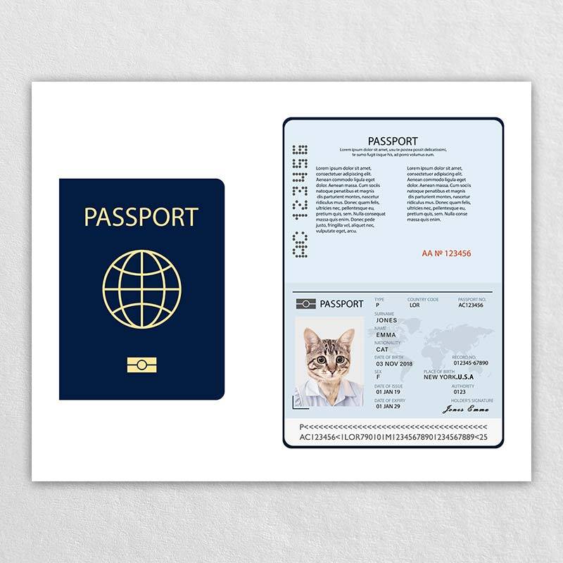 Passport For Pet Dog Id Card