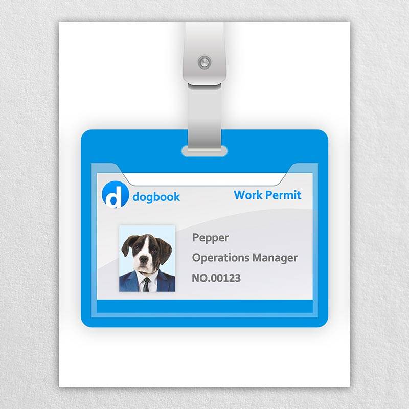 Employee Id Card Animal Pictures