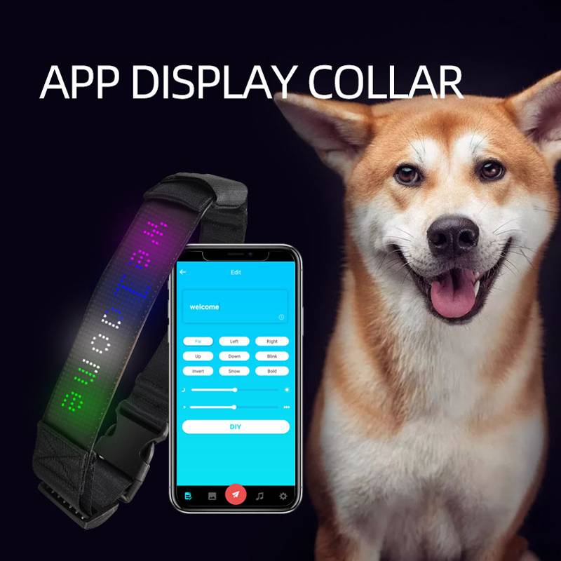 Led Display Pet Collar Bluetooth App Control