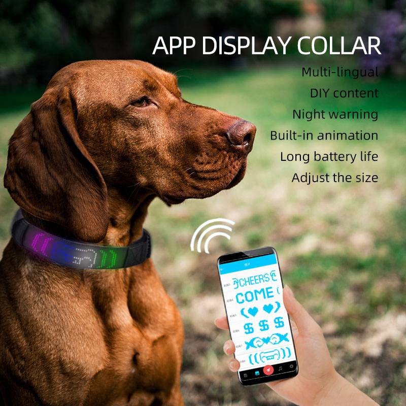 Led Display Pet Collar Bluetooth App Control