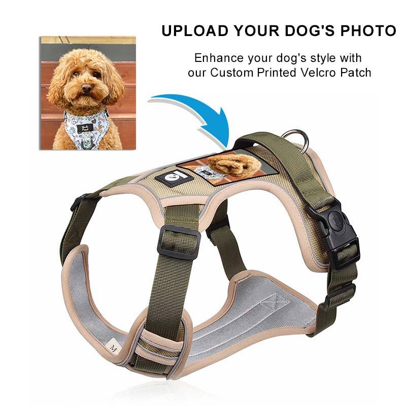 Dog Harness With Custom Printed Velcro Patch