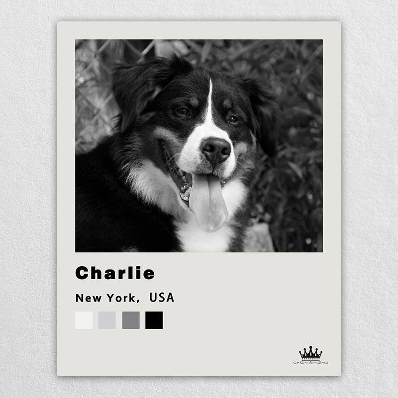 Famous Pet Portrait Paintings With Polaroid Style