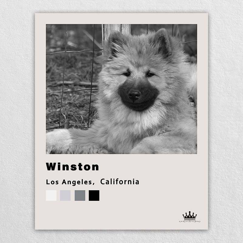 Famous Pet Portrait Paintings With Polaroid Style