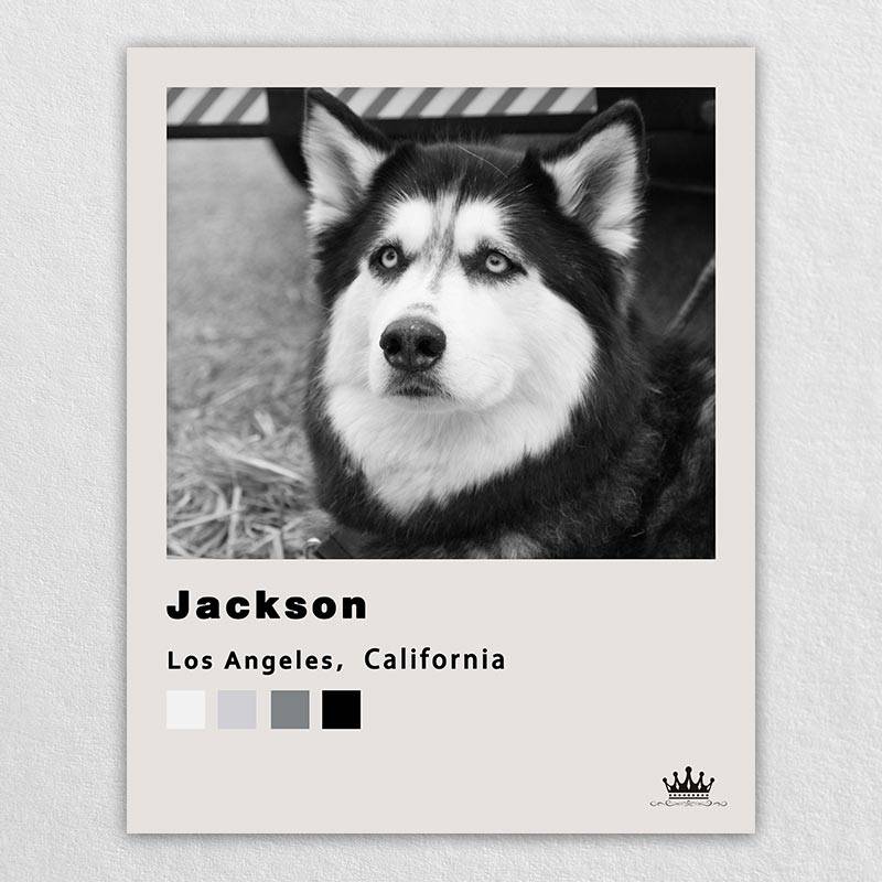 Famous Pet Portrait Paintings With Polaroid Style