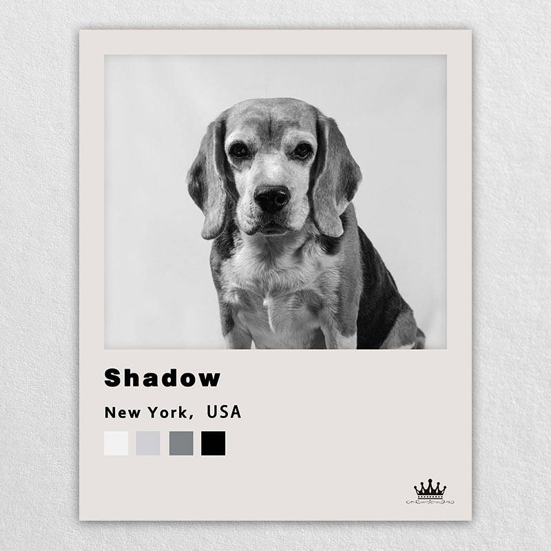 Famous Pet Portrait Paintings With Polaroid Style