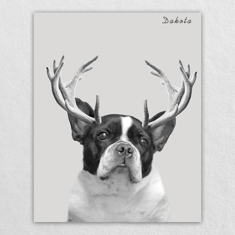 Custom Elk Antlers Wonder Pet Portraits