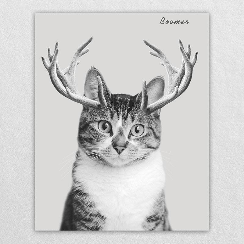 Custom Elk Antlers Wonder Pet Portraits