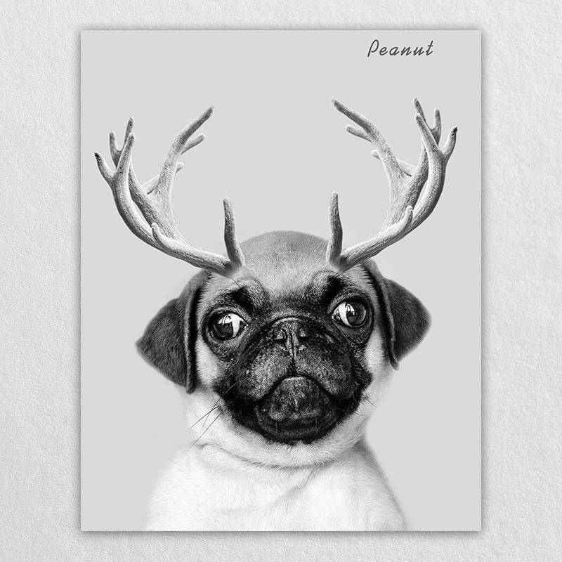 Custom Elk Antlers Wonder Pet Portraits