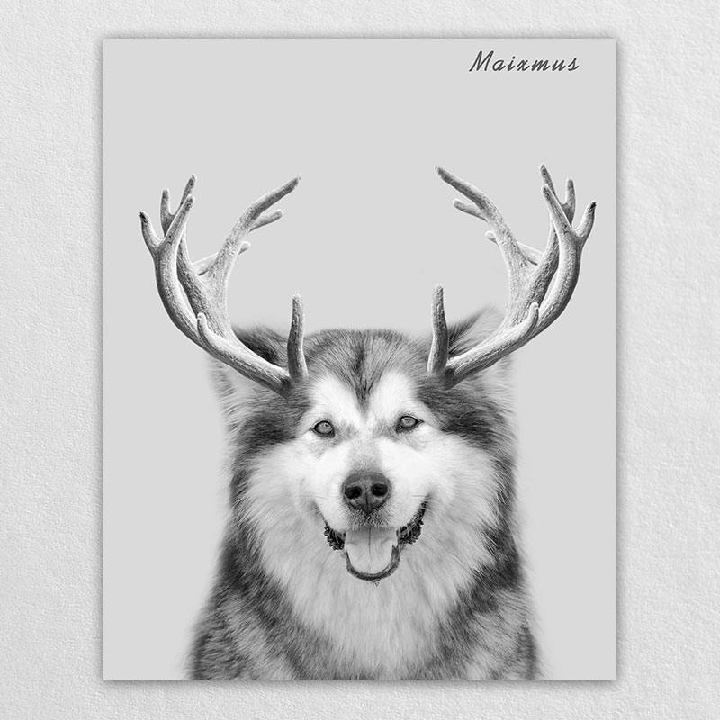 Custom Elk Antlers Wonder Pet Portraits