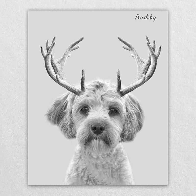 Custom Elk Antlers Wonder Pet Portraits