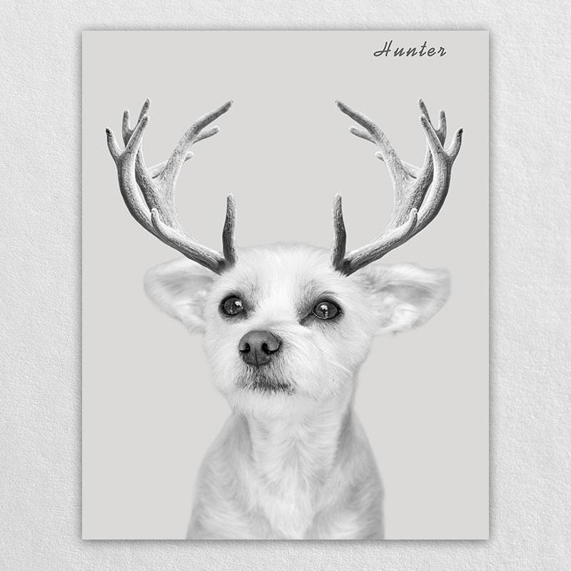 Custom Elk Antlers Wonder Pet Portraits