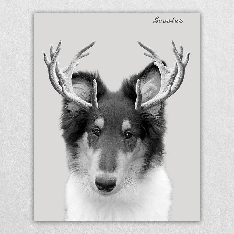 Custom Elk Antlers Wonder Pet Portraits