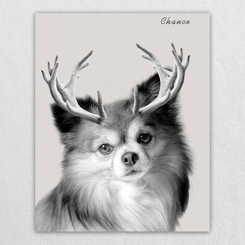 Custom Elk Antlers Wonder Pet Portraits