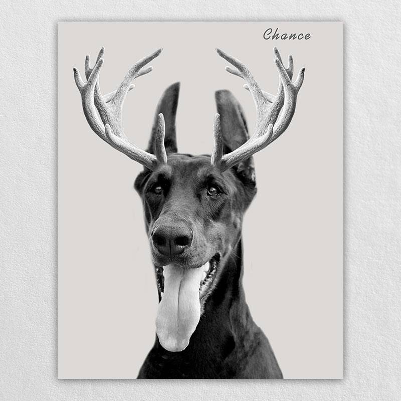 Custom Elk Antlers Wonder Pet Portraits