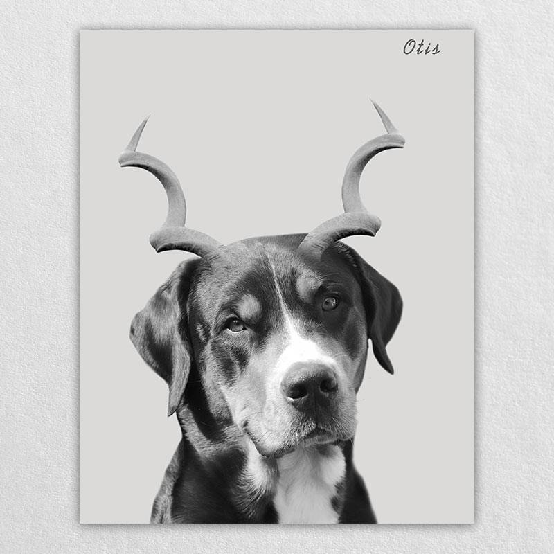 Gazelle Antlers Whimsical Pet Portraits