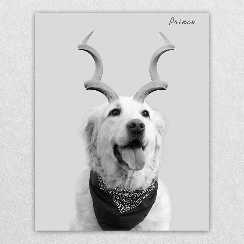 Gazelle Antlers Whimsical Pet Portraits