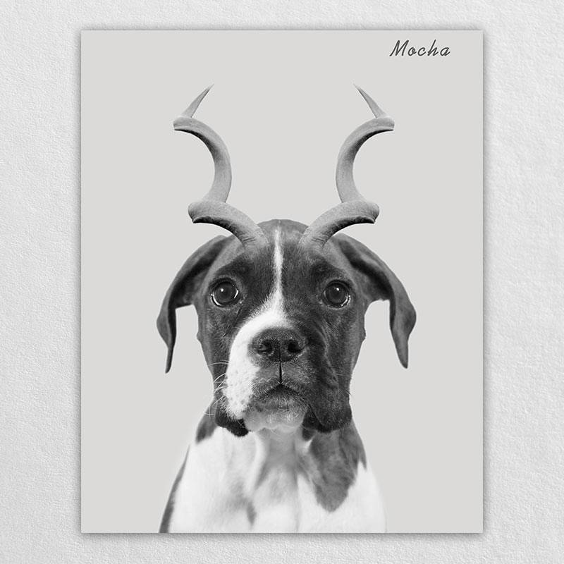 Gazelle Antlers Whimsical Pet Portraits