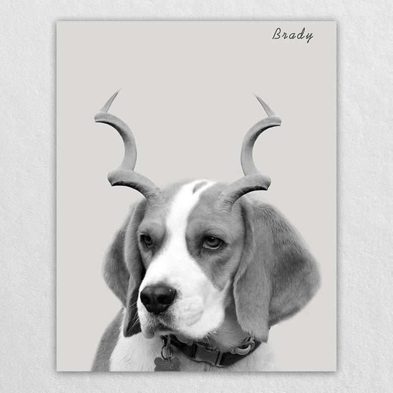 Gazelle Antlers Whimsical Pet Portraits