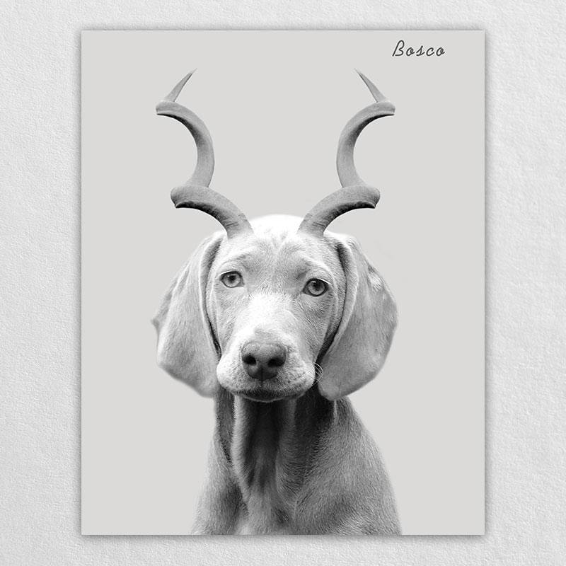 Gazelle Antlers Whimsical Pet Portraits