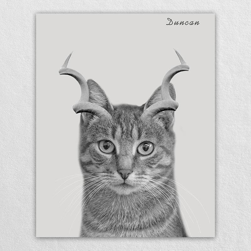 Gazelle Antlers Whimsical Pet Portraits