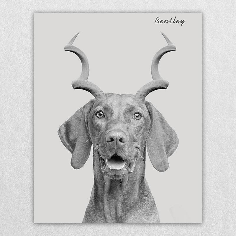 Gazelle Antlers Whimsical Pet Portraits