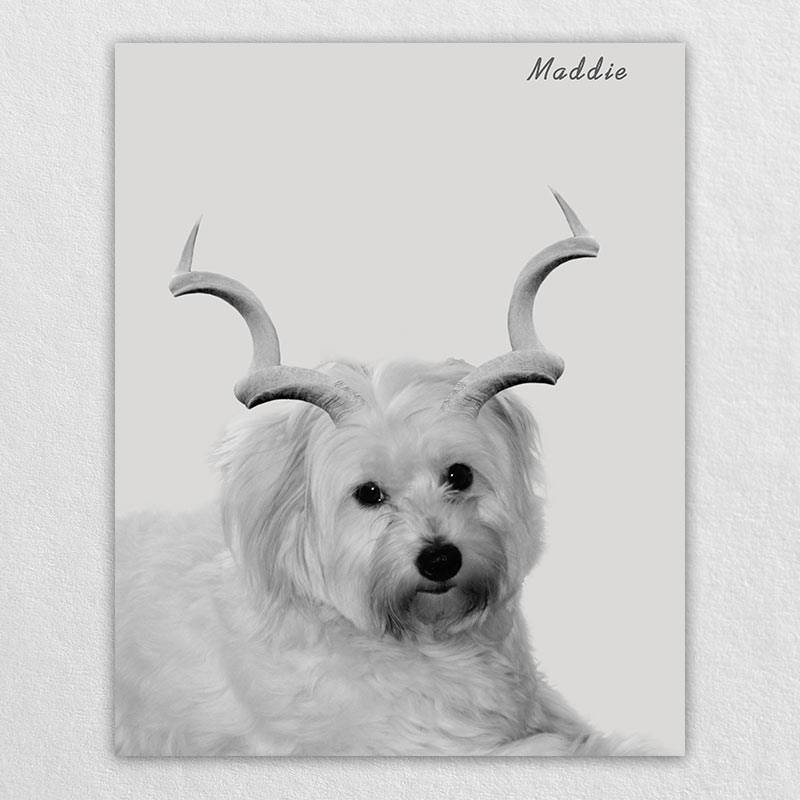 Gazelle Antlers Whimsical Pet Portraits