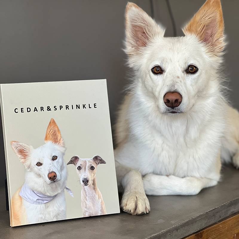 8" x 10" Custom Pet Portrait Canvas (buy 5 digital pet portraits get it for free)